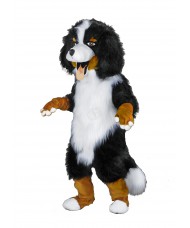 Kostüm Berner Sennenhund Maskottchen 27 (Hochwertig)