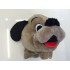 Kostüm Hund Maskottchen 33 & Kissen & Tasche (Promotion)
