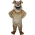 Kostüm Hund Bulldogge Maskottchen 4 (Werbefigur)