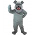 Kostüm Hund Bulldogge Maskottchen 1 (Werbefigur)