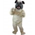 Kostüm Hund Bulldogge Maskottchen 7 (Werbefigur)