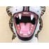 Maskottchen Jaguar Kostüm 2 (Werbefigur)