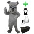 Kostüm Hund Bulldogge 9 + Haube + Kissen + Tasche (Professionell)