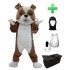 Kostüm Hund Bulldogge 12 + Haube + Kissen + Tasche (Professionell)