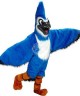 Maskottchen Blaunäher Vogel Kostüm 1 (Werbefigur)
