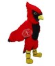 Roter Kardinal Vogel Maskottchen Kostüm (Professionell)