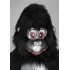 Kostüm Gorilla Maskottchen 6 (Hochwertig)
