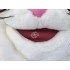 Kostüm Katze Maskottchen 14 (Hochwertig)