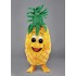 Verleih Kostüm Ananas