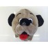 Kostüm Hund Maskottchen 33 & Kissen (Promotion)