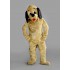Kostüm Hund Maskottchen 33 & Kissen (Promotion)