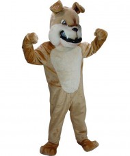 Kostüm Hund Bulldogge Maskottchen 5 (Werbefigur)