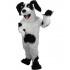 Maskottchen Hund Kostüm 3 (Werbefigur)