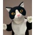 Maskottchen Katze Kostüm 5 (Werbefigur)