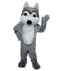 Kostüm Hund Husky Maskottchen 5 (Professionell)