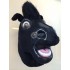 Maskottchen Pferd Kostüm 5 (Werbefigur)